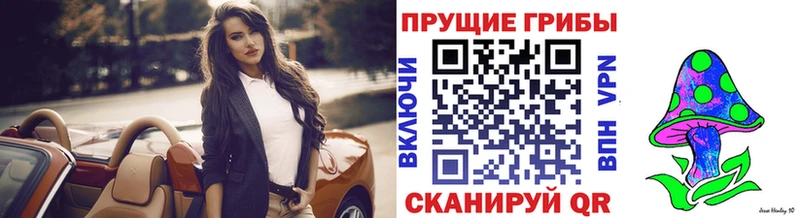 omg ссылки  Яблоновский  Псилоцибиновые грибы мицелий 